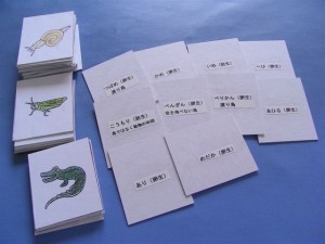 試験に出る　卵生・胎生カード！