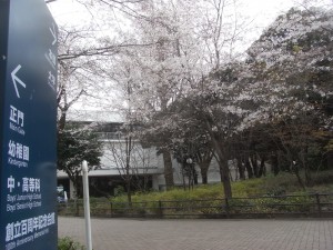 003 学習院大学の桜!