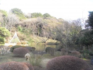 534 新江戸川公園