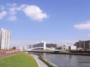 隅田川の風景！
