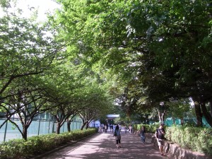緑が多い学習院大学