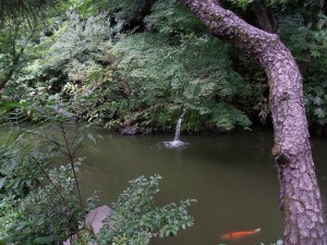 関口芭蕉庵