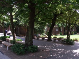 070 大学で、「わが師」を探す!