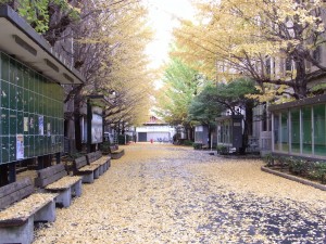 011 子どもたちの研究材料がいっぱい! 早稲田大学