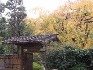 013 甘泉園 (早稲田)