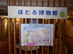 椿山荘の『ほたる博物館』