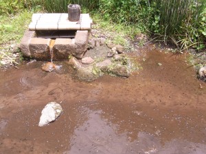 椿山荘の井戸の前に『かわにな』を発見！
