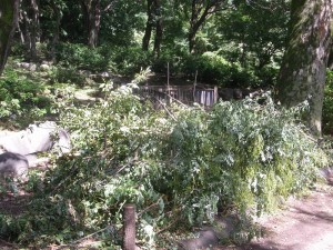 戸山公園(新宿区) 戸山公園(新宿区)