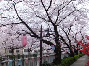 神田川の遊歩道