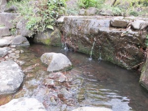 近所の公園