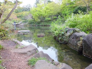 近所の公園