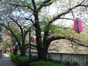散歩しながら、おしゃべりを楽しみます。